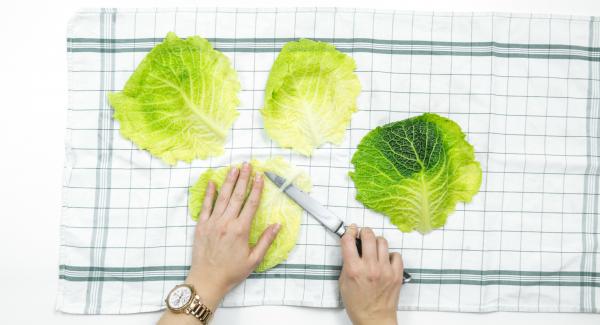 Stendere le foglie di verza su uno strofinaccio asciutto e farle asciugare bene, tagliare la costola centrale dura e disporvi sopra il ripieno.