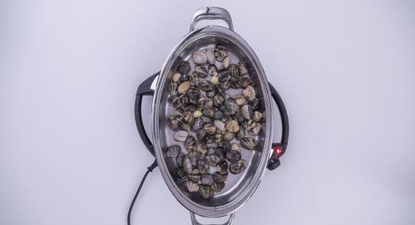 Al suono di Audiotherm, aggiungere le vongole e un bicchiere d’acqua. Coprire l’Unità Ovale con il coperchio e impostare Navigenio in modalità "A". Posizionare Audiotherm sulla finestra “verdura” dopo aver impostato un tempo di cottura di 3 minuti.