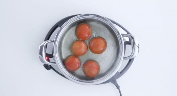 Pelare e tagliare a dadini la cipolla e l’aglio. Sbollentare i pomodori in acqua bollente, pelarli e tagliarli a dadini. Tagliare il tonno a cubetti grandi.